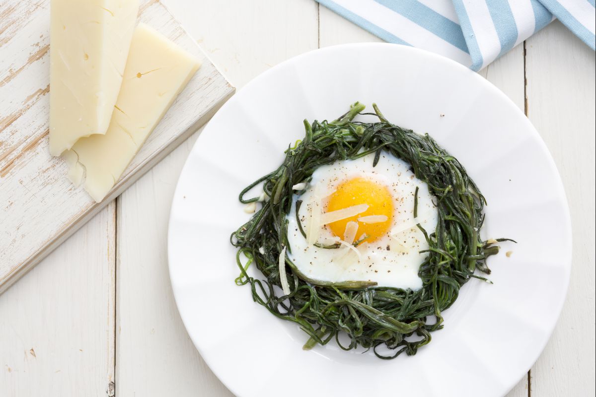 Nidos de agretti