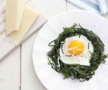 Nidos de agretti