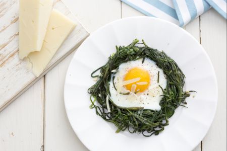 Nidos de agretti