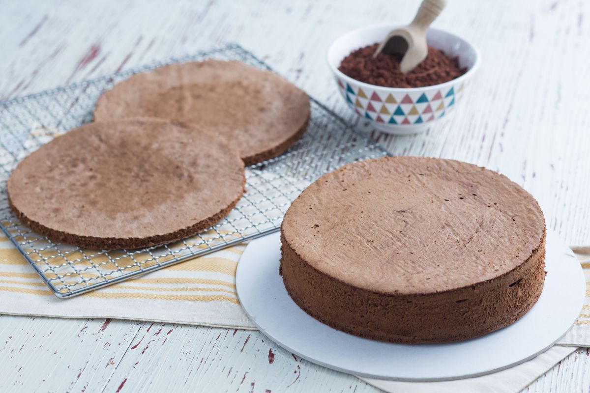 Bizcocho de cacao