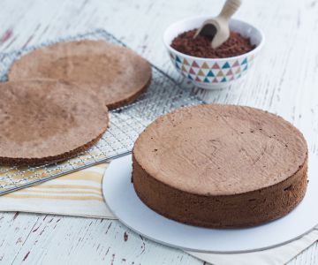 Bizcocho de cacao