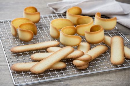Lenguas de gato