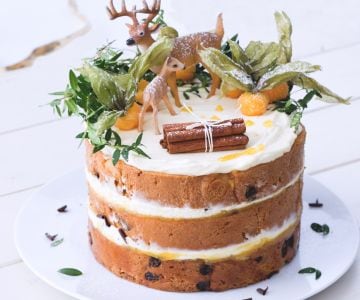 Woodland cake de panettone