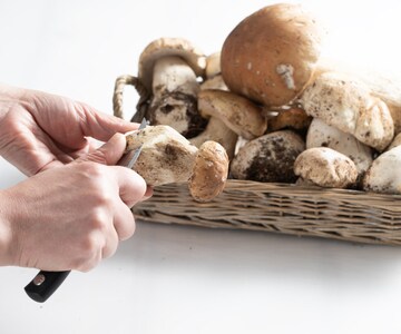 Cómo limpiar los boletus