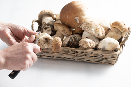Cómo limpiar los boletus