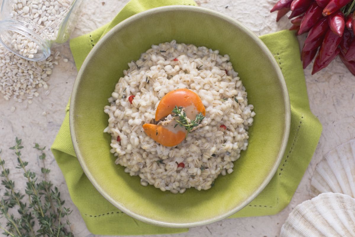Orzotto con crema de vieiras