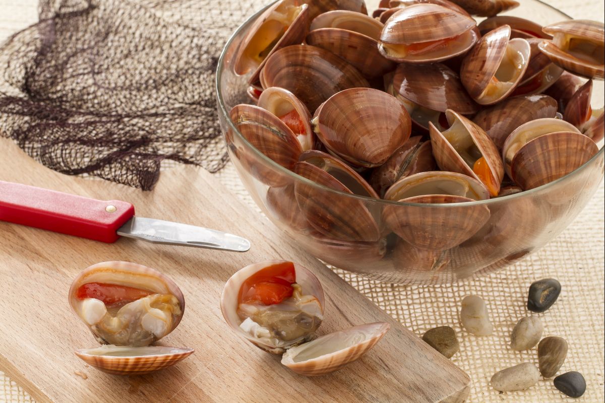 Cómo limpiar las almejas