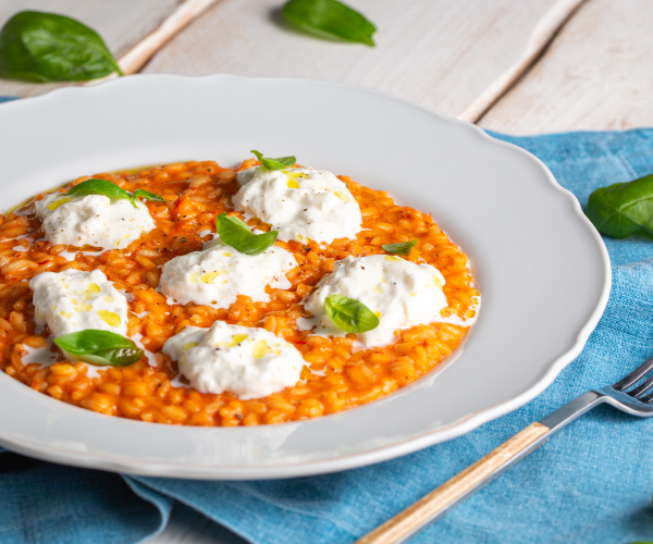 Risotto tomatitos y burrata