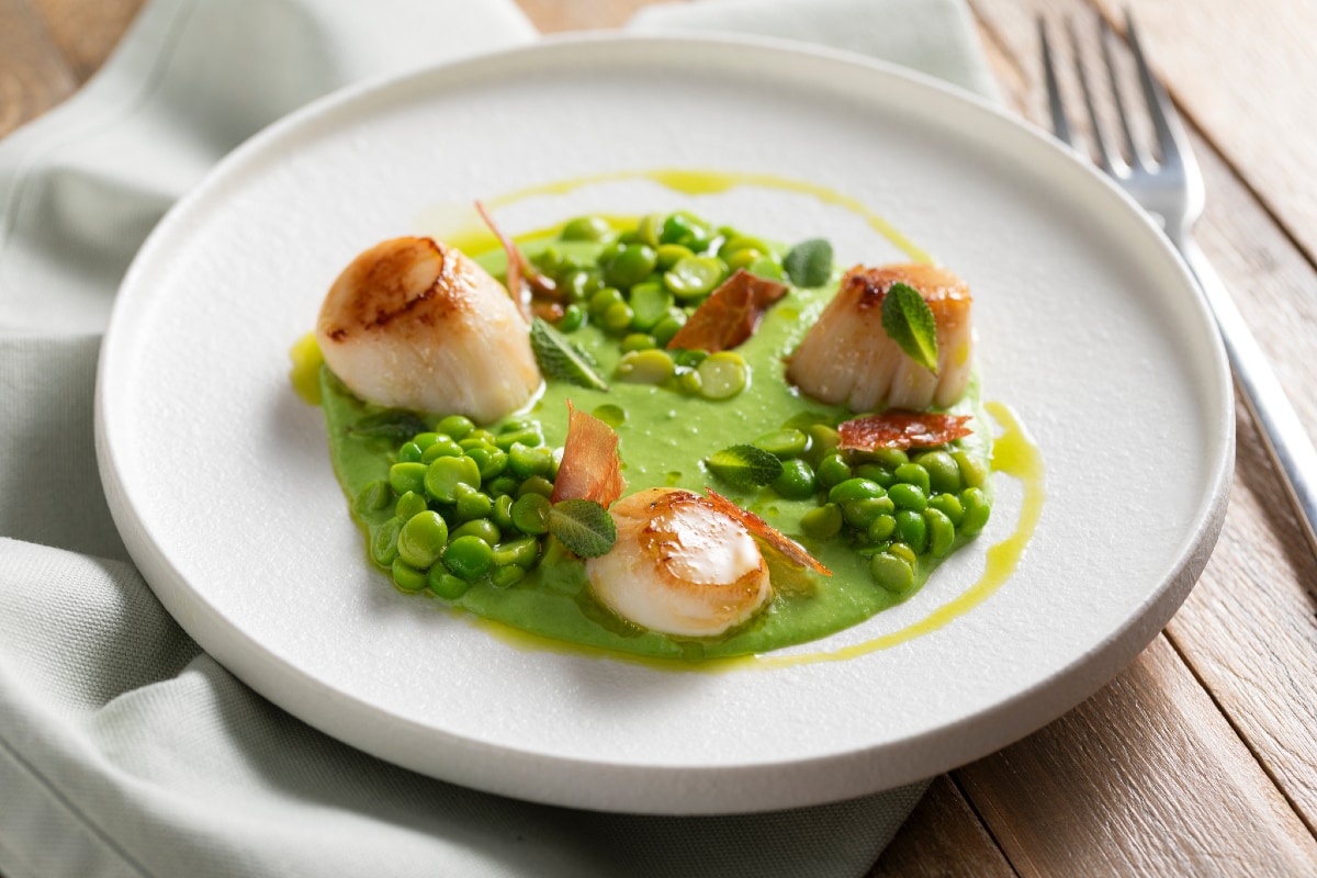 Vieiras a la plancha sobre crema de guisantes