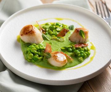 Vieiras a la plancha sobre crema de guisantes