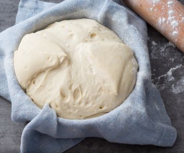 Masa madre
