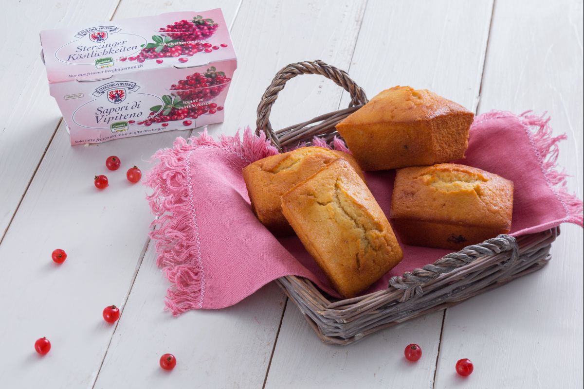 Mini bizcochos de yogur y arándanos rojos