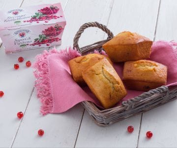 Mini bizcochos de yogur y arándanos rojos