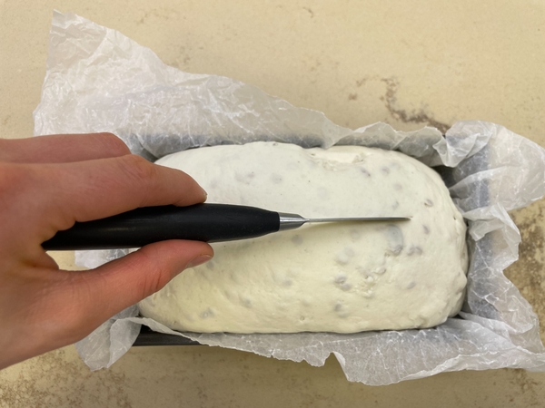 Pan sin gluten - step 2